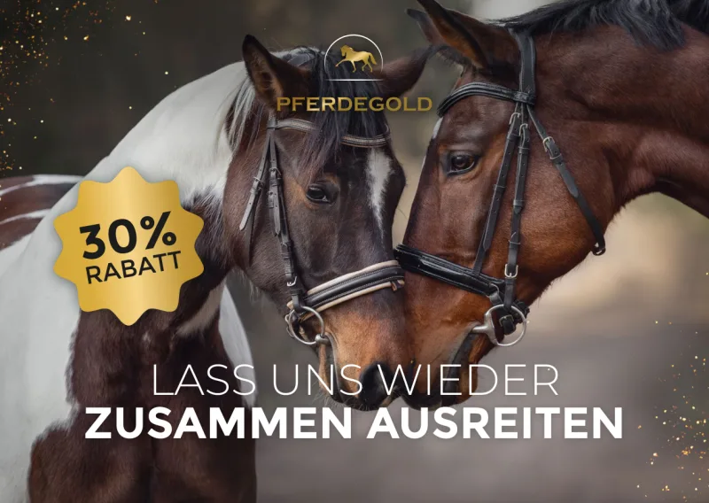Pferdegold postcard from a PostPal print marketing campaign in the Pets category
