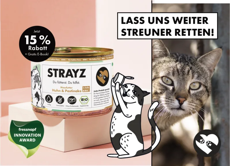 STRAYZ Winback-Postkartenmotiv für Katzenfutter mit 15 % Rabatt