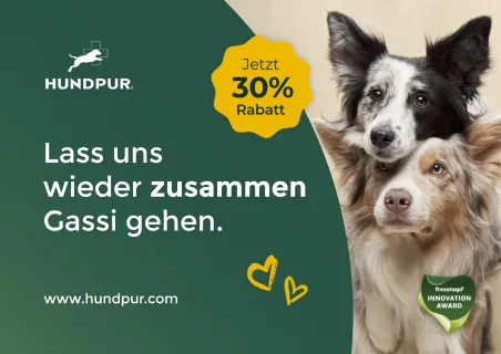 Postkarten-Design von Hundepur aus einer PostPal Direct-Mail-Kampagne
