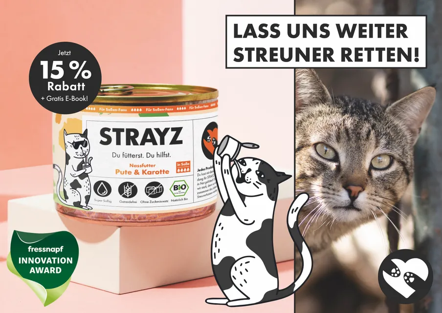 Postkarten-Design von STRAYZ mit Katzenmotiv aus einer PostPal Kampagne